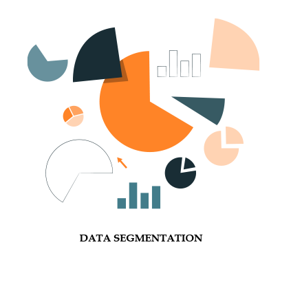 DATA MANAGEMENT SERVICES